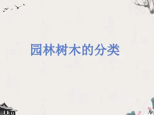 园林树木的分类