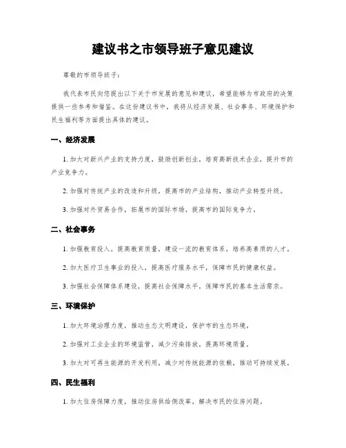 建议书之市领导班子意见建议