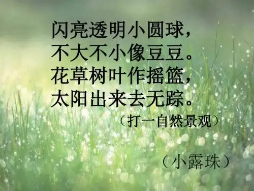 三年级上册《小露珠》ppt课件01