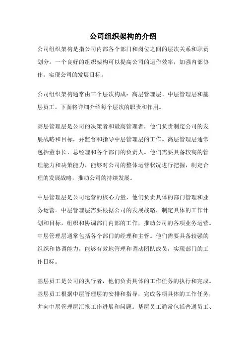 公司组织架构的介绍