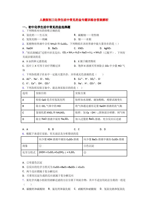 人教版初三化学生活中常见的盐专题训练含答案解析