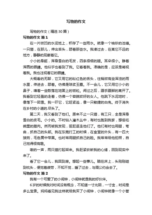 写物的作文
