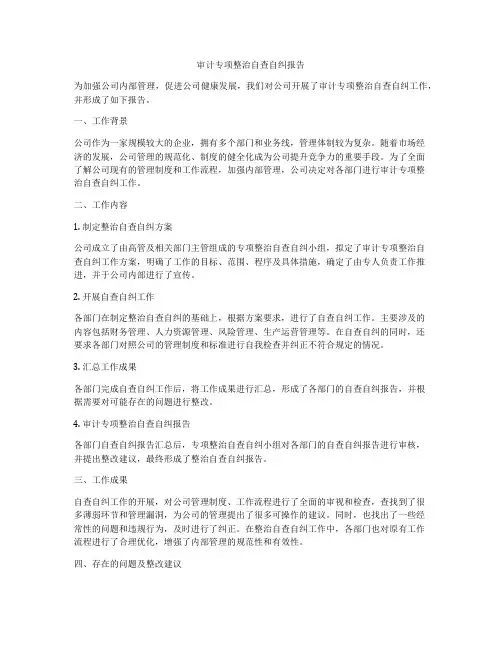 审计专项整治自查自纠报告