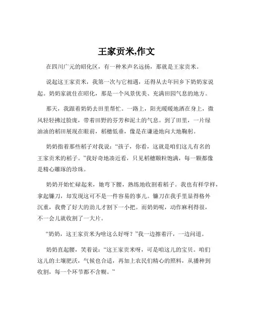王家贡米,作文