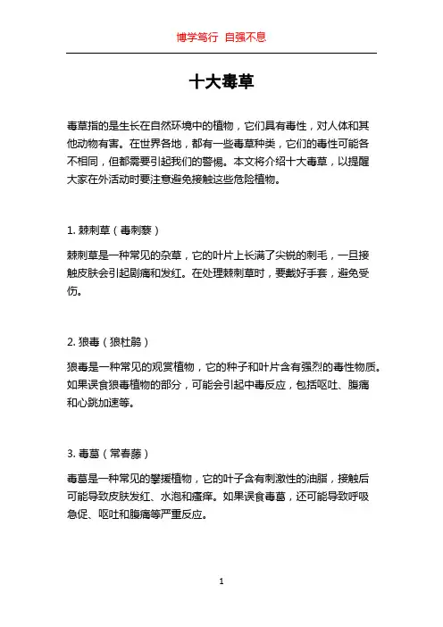 十大毒草_精品文档