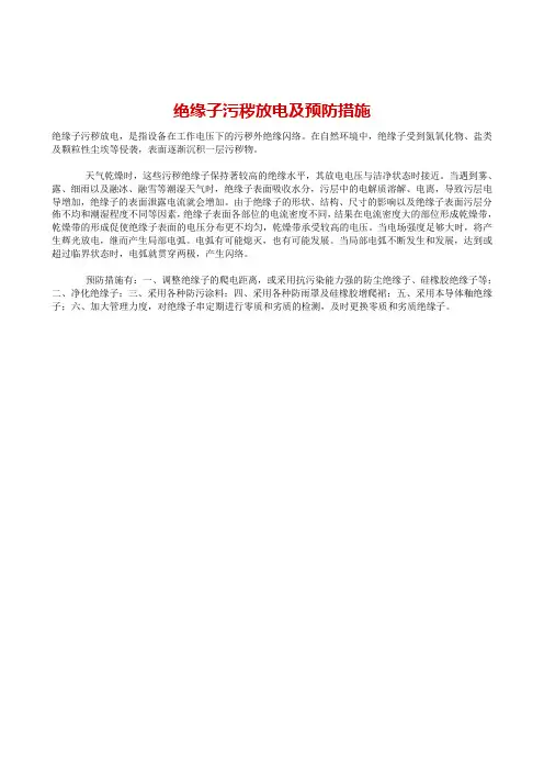 绝缘子污秽放电及预防措施