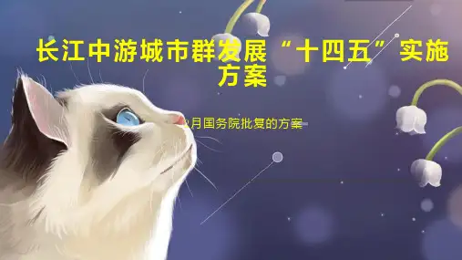 长江中游城市群发展“十四五”实施方案