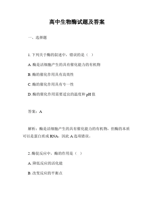 高中生物酶试题及答案