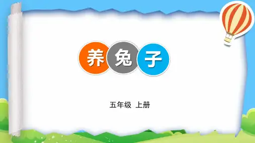 5年级 劳动 养兔子课件(共16张PPT)