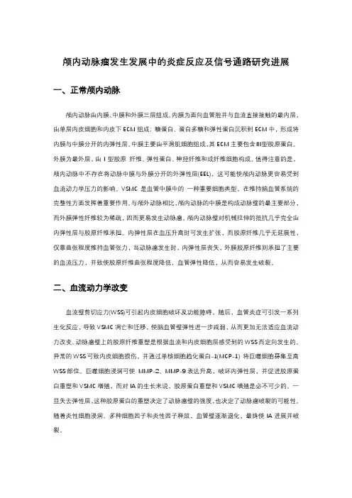 颅内动脉瘤发生发展中的炎症反应及信号通路研究进展