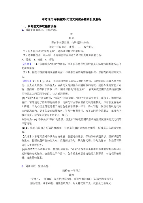中考语文诗歌鉴赏+文言文阅读易错剖析及解析