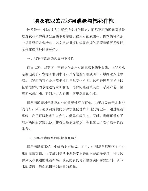 埃及农业的尼罗河灌溉与棉花种植