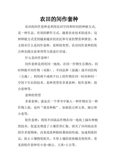农田的间作套种