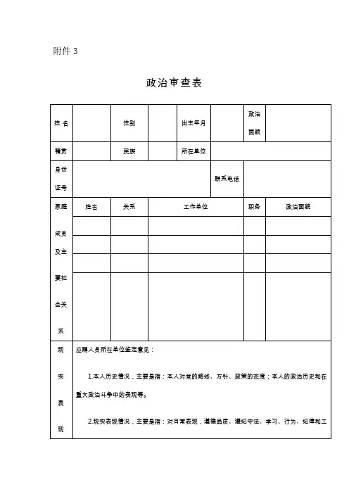 政治审查表
