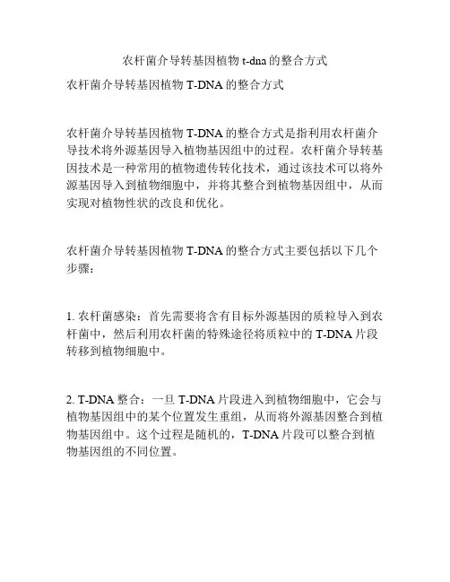农杆菌介导转基因植物t-dna的整合方式