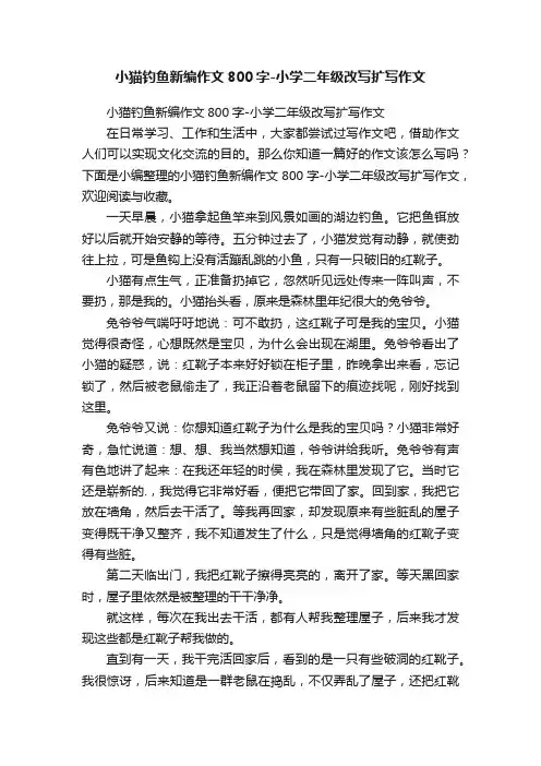 小猫钓鱼新编作文800字-小学二年级改写扩写作文