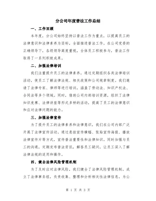分公司年度普法工作总结