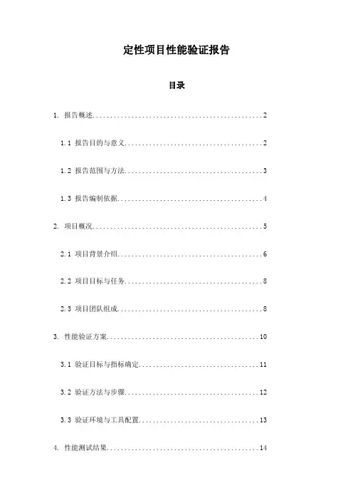 定性项目性能验证报告
