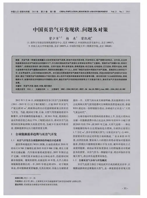 中国页岩气开发现状、问题及对策