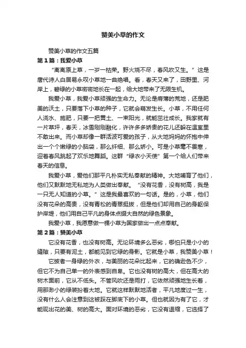 赞美小草的作文