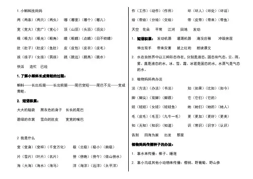 二年级上册语文词语及知识点