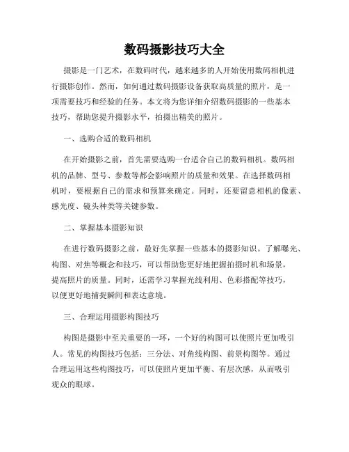 数码摄影技巧大全