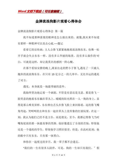 金牌流浪狗影片观看心得体会