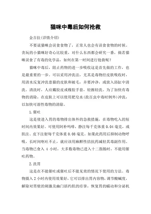 猫咪中毒后如何抢救