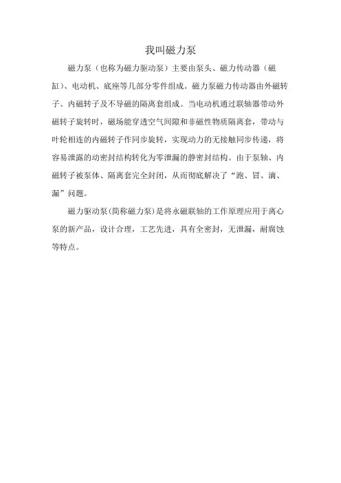 我叫磁力泵
