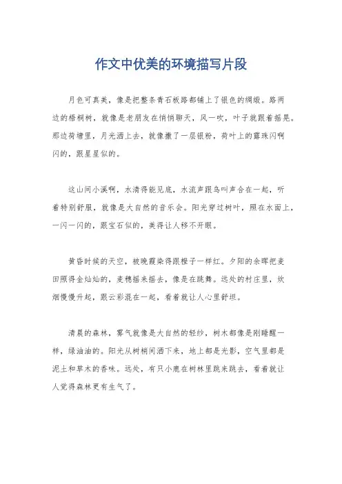 作文中优美的环境描写片段