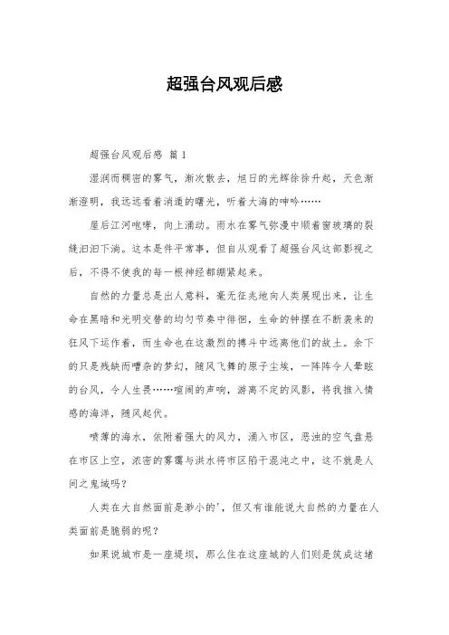 超强台风观后感