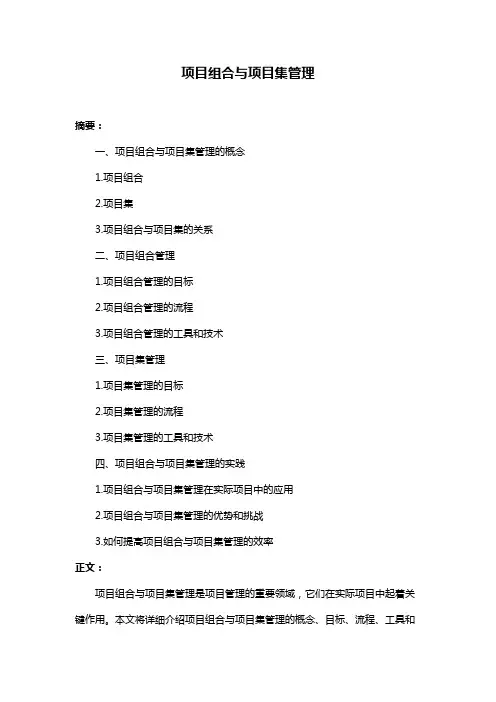 项目组合与项目集管理