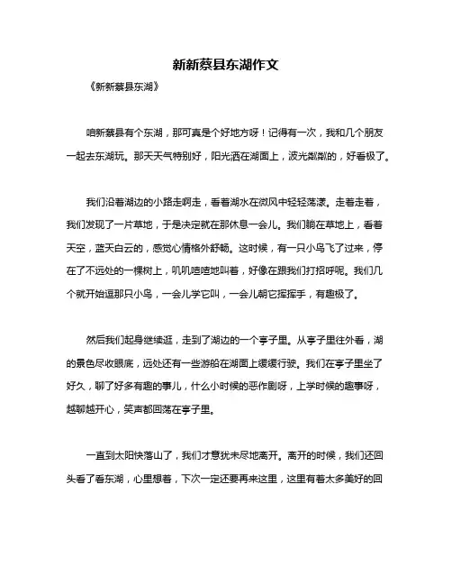 新新蔡县东湖作文
