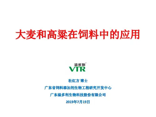 大麦和高粱在饲料中的应用-PPT课件