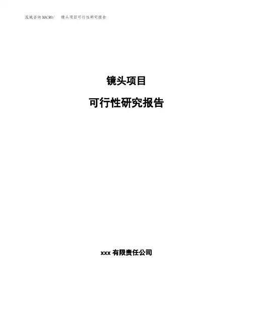 镜头项目可行性研究报告(参考模板范文)