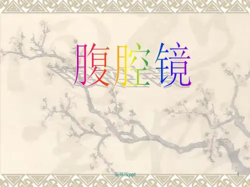 腹腔镜ppt课件