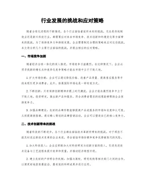行业发展的挑战和应对策略