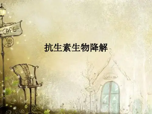抗生素生物降解ppt课件