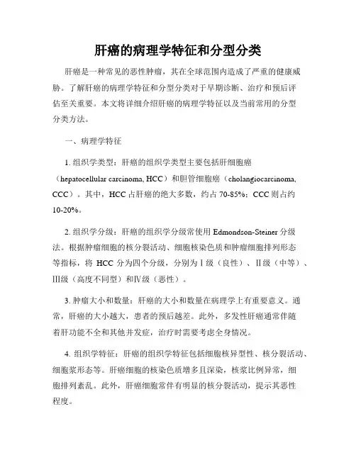 肝癌的病理学特征和分型分类