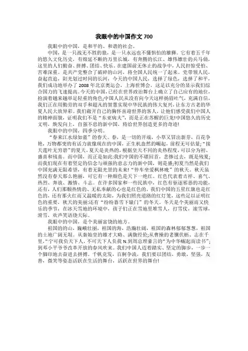 我眼中的中国作文700