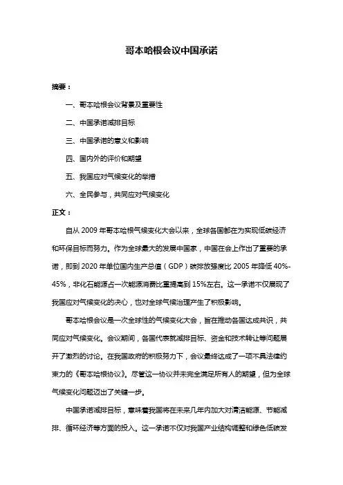 哥本哈根会议中国承诺