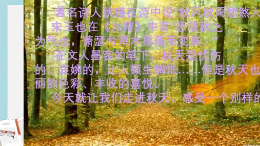 新人教版七年级语文上册14、秋天ppt优秀课件