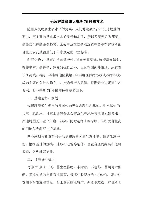 无公害蔬菜甜豆奇珍76种植技术
