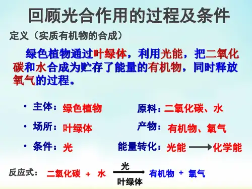 苏教版七年级上册生物植物光合作用的实质课件
