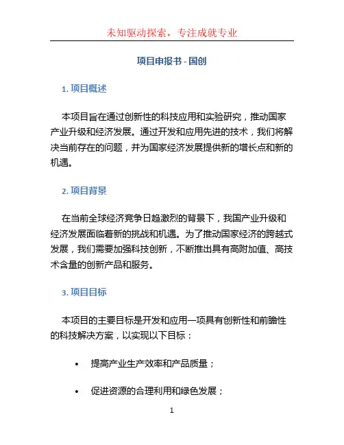 项目申报书国创