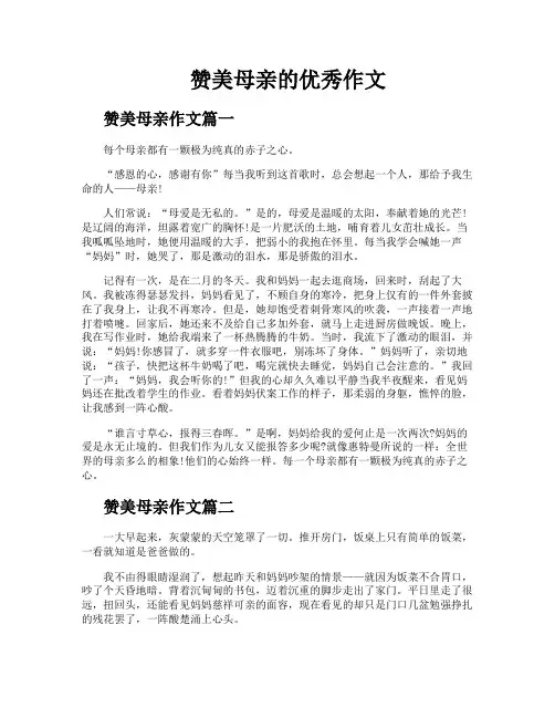 赞美母亲的优秀作文