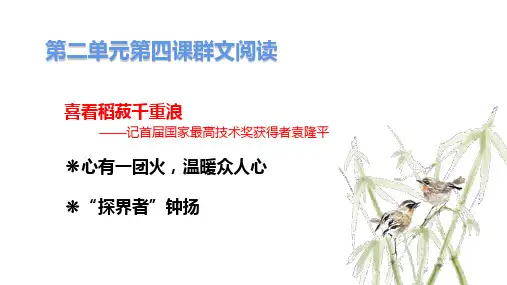 4.1《喜看稻菽千重浪》课件+2024-2025学年统编版高中语文必修上册