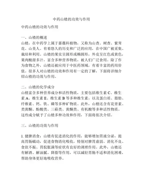 中药山楂的功效与作用