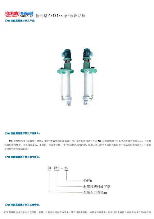 耐腐蚀液下泵型号及参数