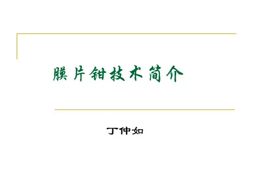 膜片钳讲课学习资料
